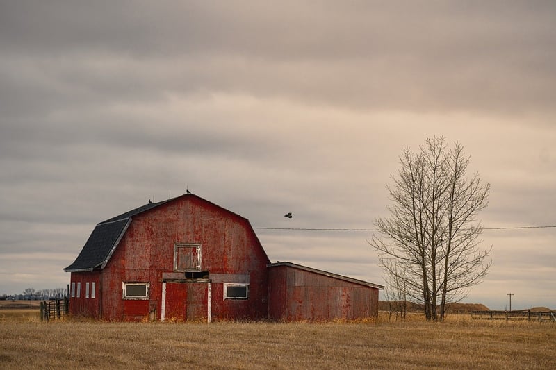 Oakwood Barn Events